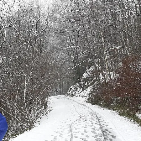 Vallee Et Semoy Apartman Tournavaux