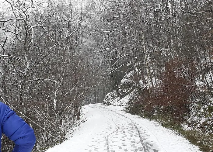 Vallee Et Semoy Lägenhet Tournavaux